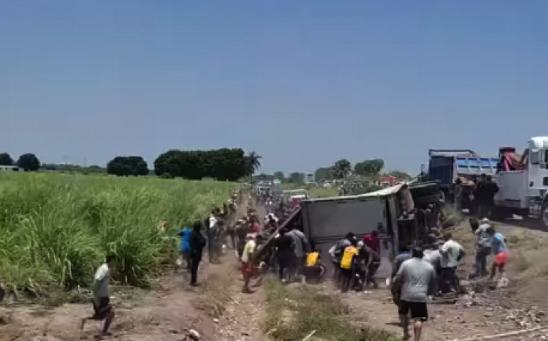 Rapiña tras volcadura de tráiler con carne de cerdo; sucedió en Tamaulipas